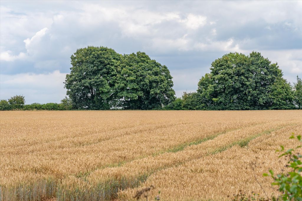 Property photo 1 of 4 Image