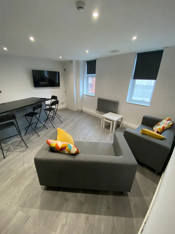 Headford Street, Sheffield S3 - View 3
