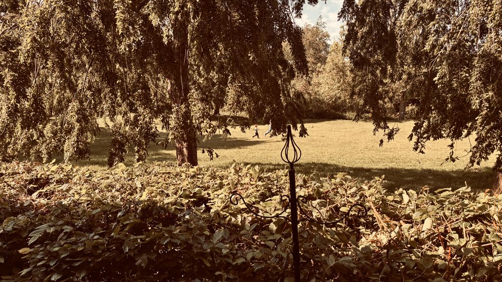 Property photo 2 of 18 Img_0392