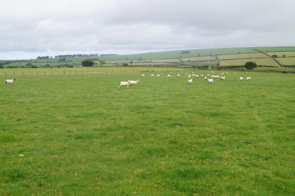 Additional image 4 of Land for saleTagarreg, Llandysul, 4EU SA44