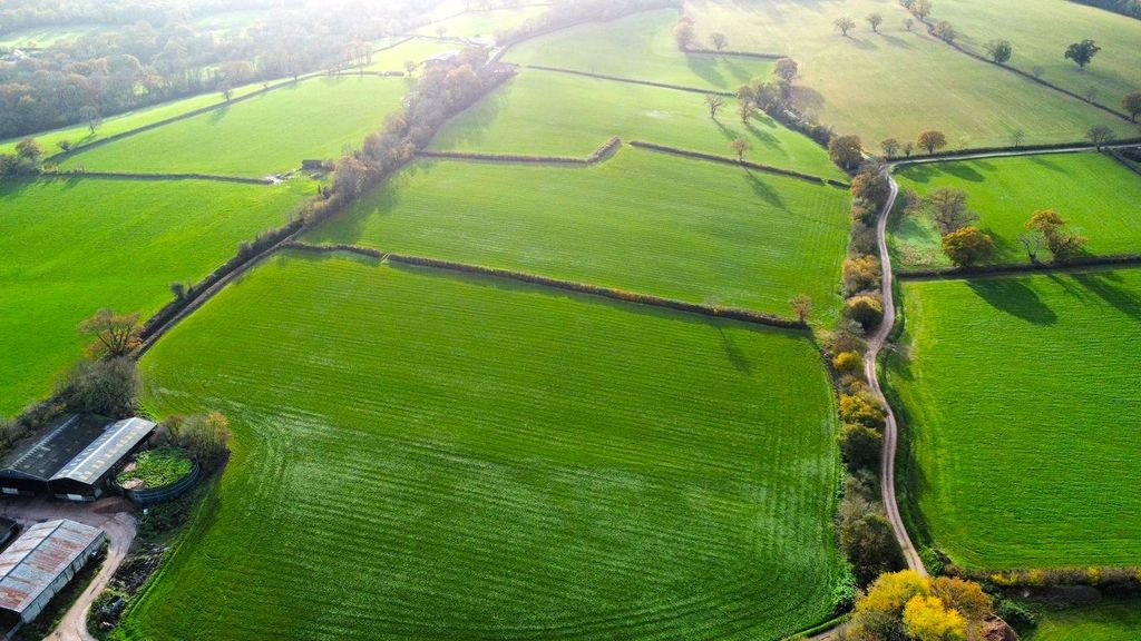 Property photo 1 of 8 Picture No. 01