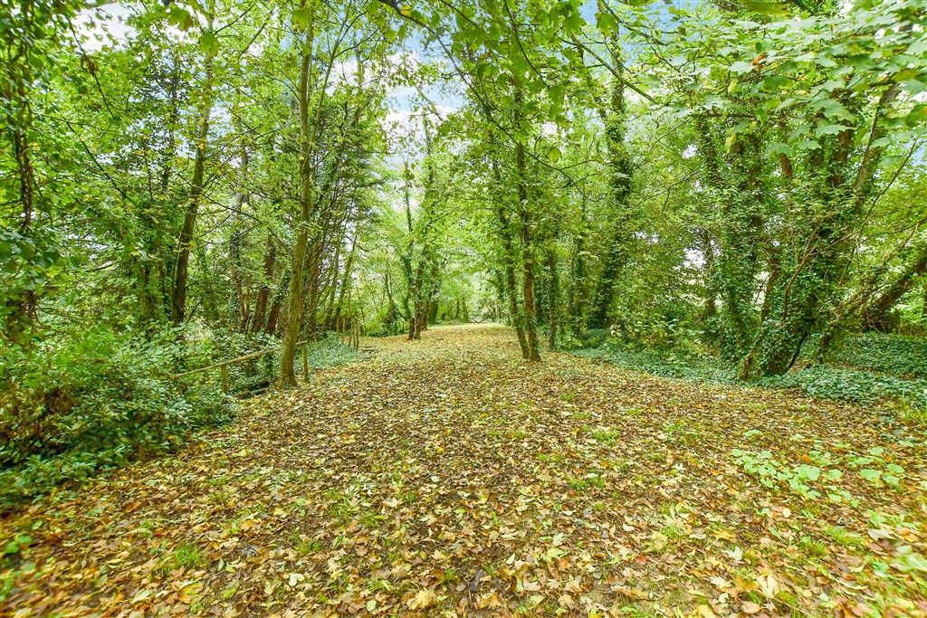 Property photo 2 of 14 Rear Garden