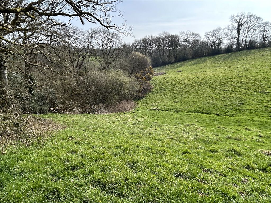 Additional image 10 of Land for saleHollocombe, Chulmleigh, Devon EX18