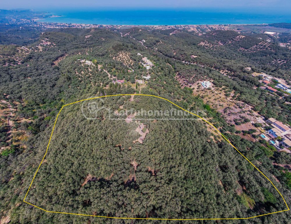 Property photo 1 of 8 Land