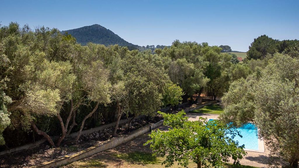 Property photo 3 of 22 74024 Small.Jpg