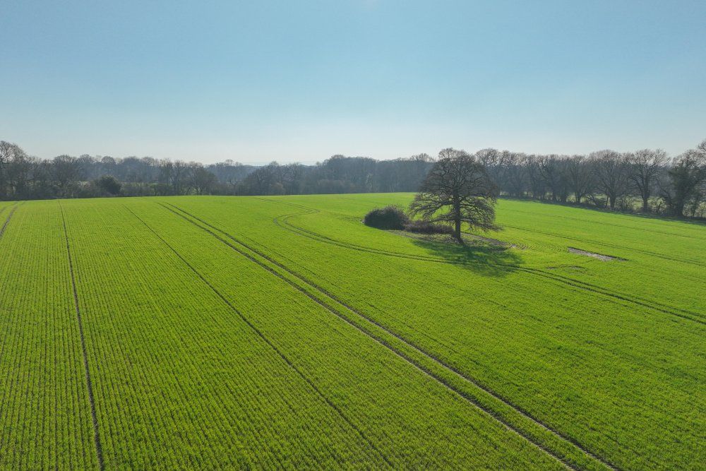 Property photo 2 of 14 Picture No. 15