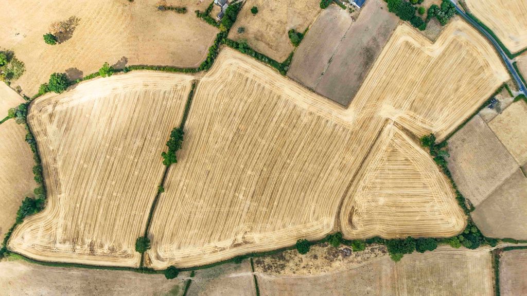 Property photo 1 of 12 Web Dji_20260814171102_0304_D