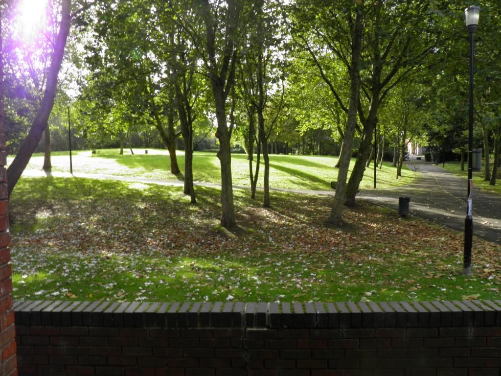 Property photo 2 of 7 Picture No.02