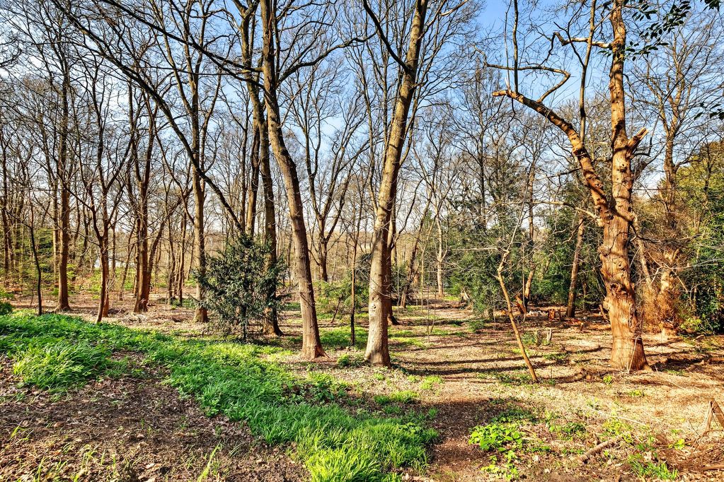 Property photo 3 of 23 Photo 11