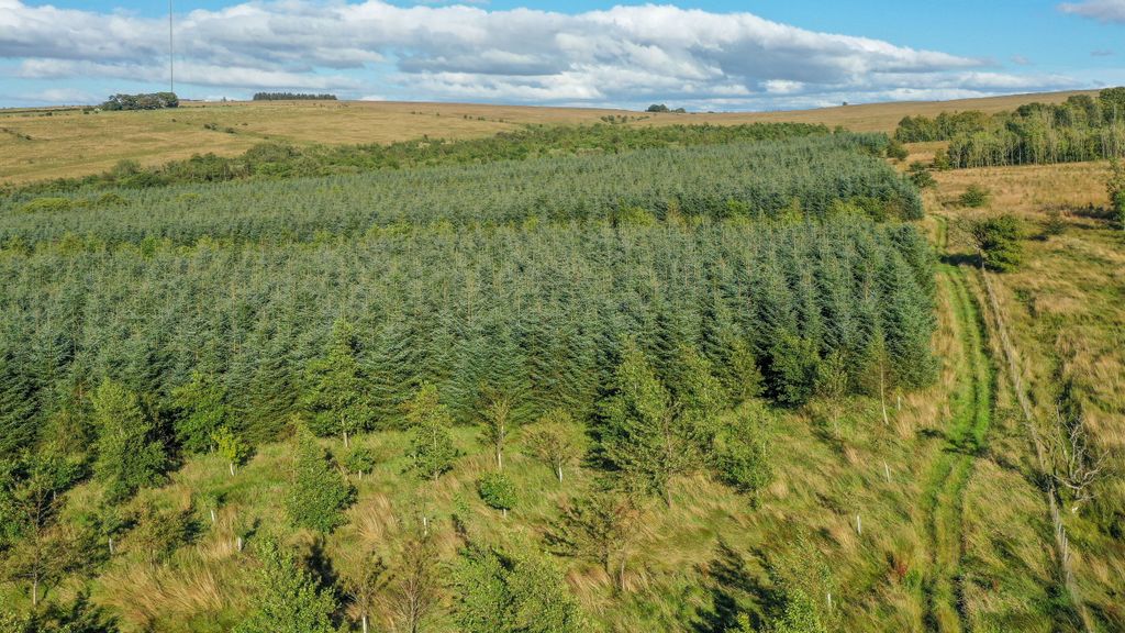 Additional image 11 of Land for saleWestward, Wigton 8Nq, Wigton CA7