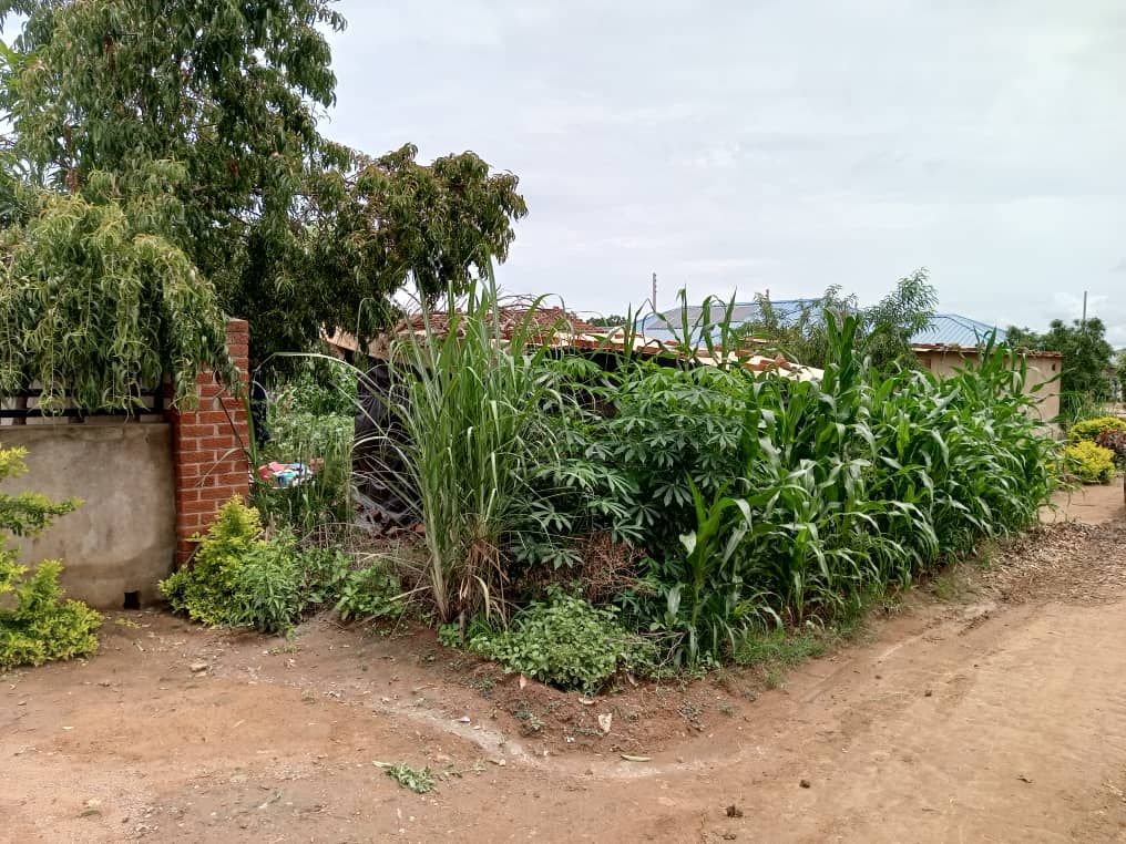 Property photo 1 of 3