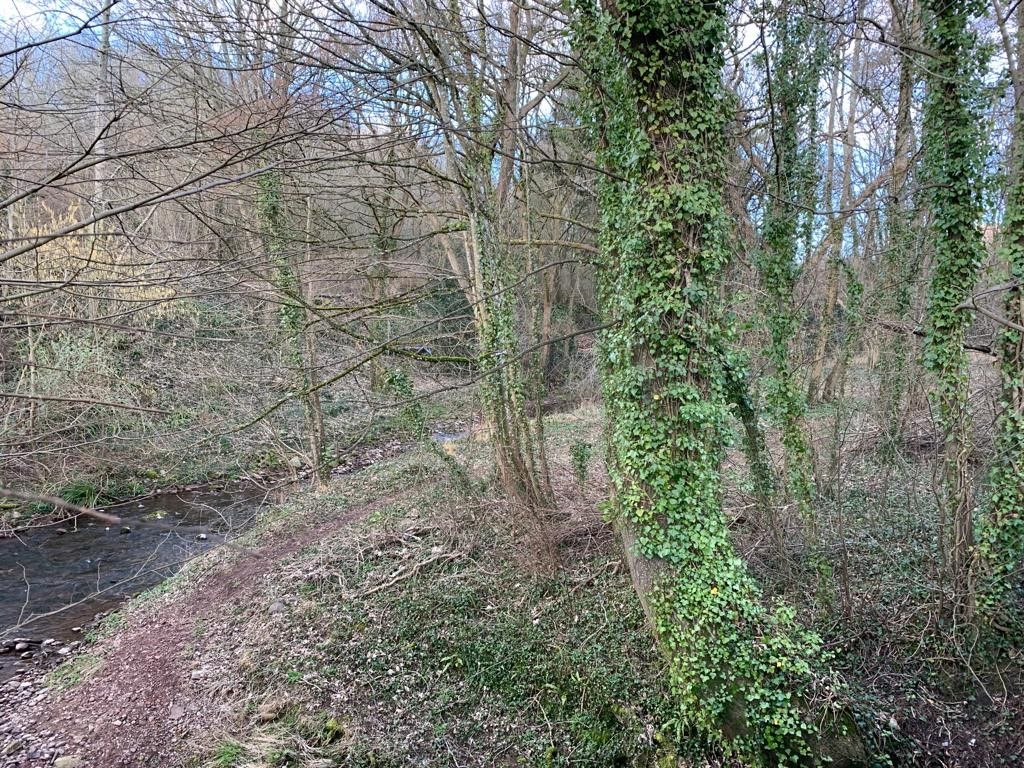 Property photo 2 of 11