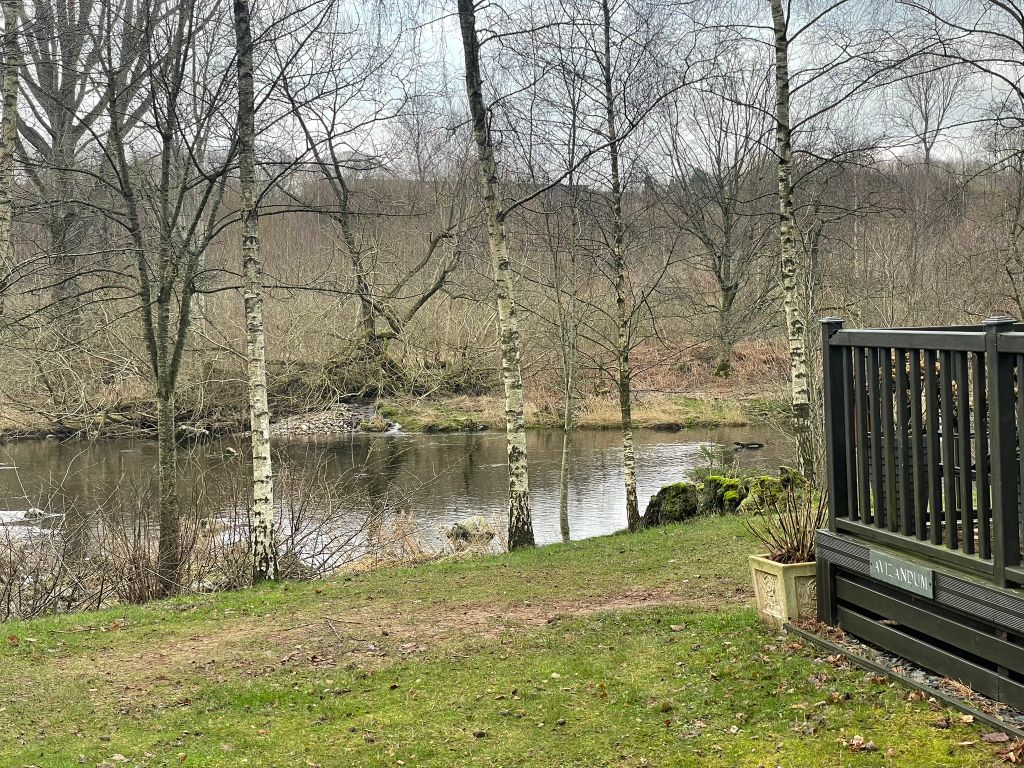 Property photo 3 of 22