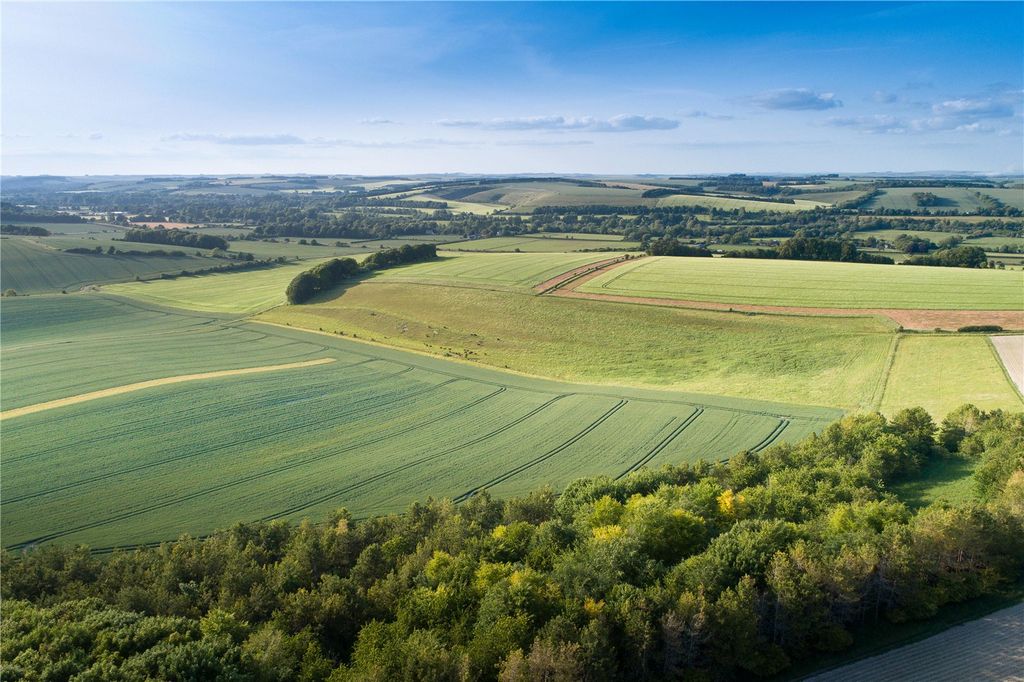 Property photo 3 of 10 Land