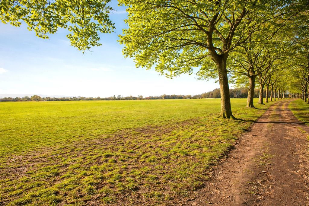 Property photo 2 of 16 Savile Park