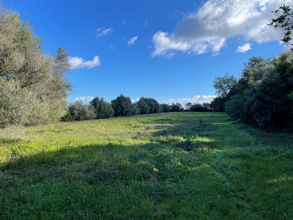 Property photo 2 of 9 Img_2682.Jpg