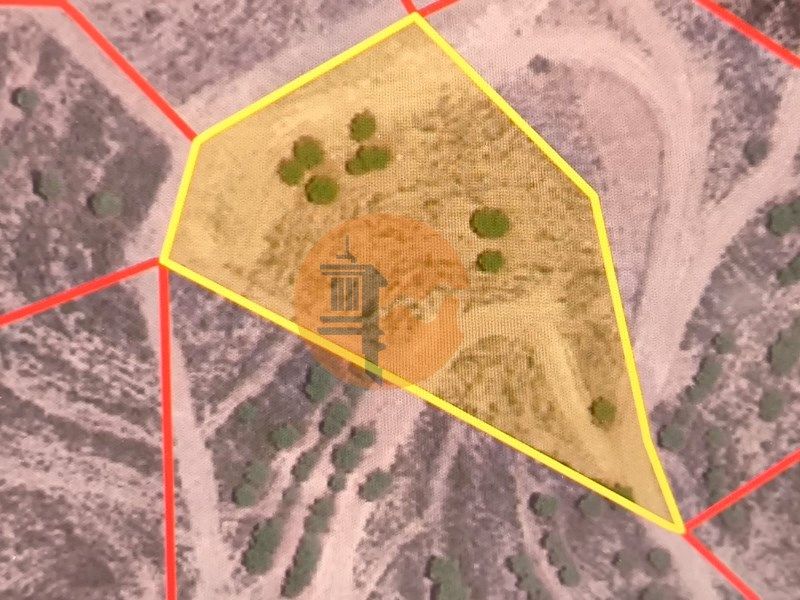 Property photo 3 of 38