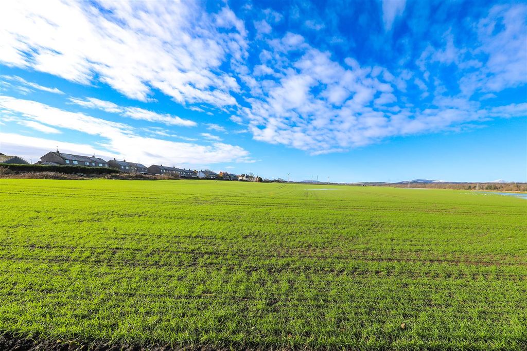 Property photo 2 of 17 B