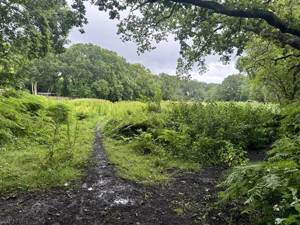 Property photo 1 of 3