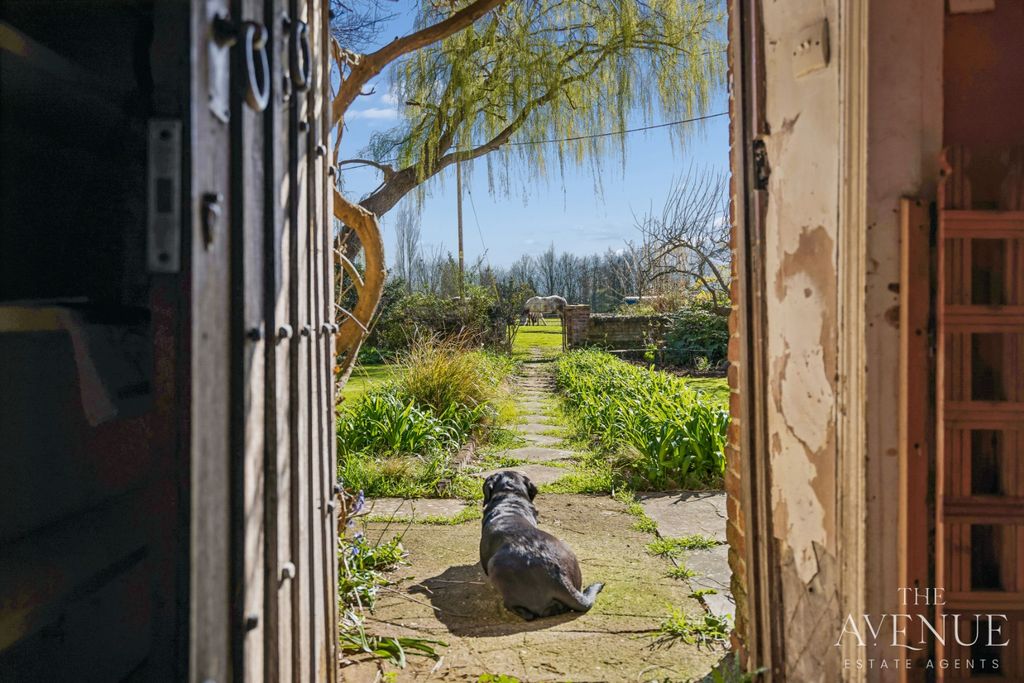 Property photo 3 of 28 4809526