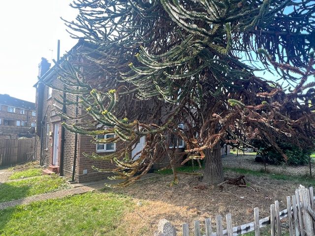 Property photo 1 of 4