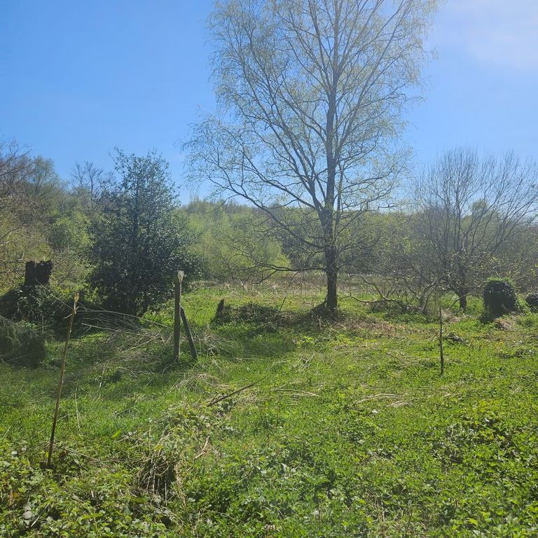 Property photo 3 of 33