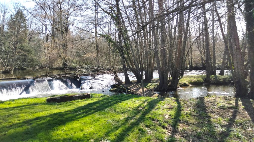 Property photo 3 of 29