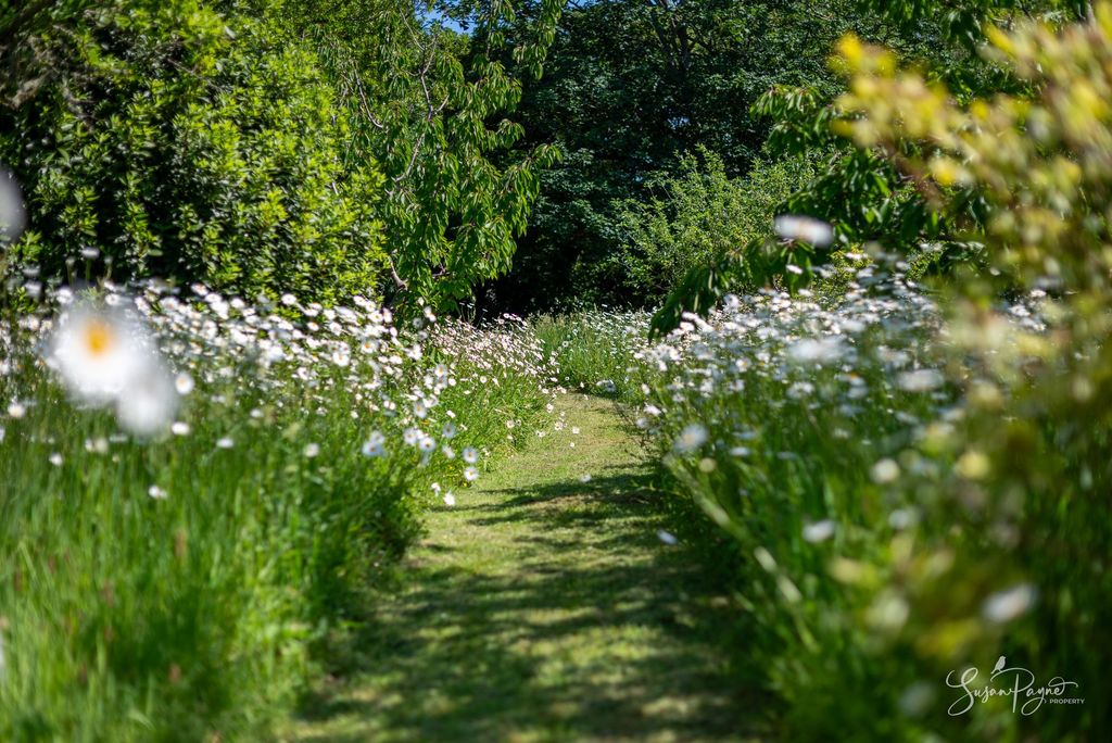 Property photo 3 of 51