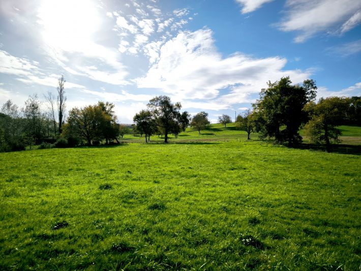 Property photo 3 of 5