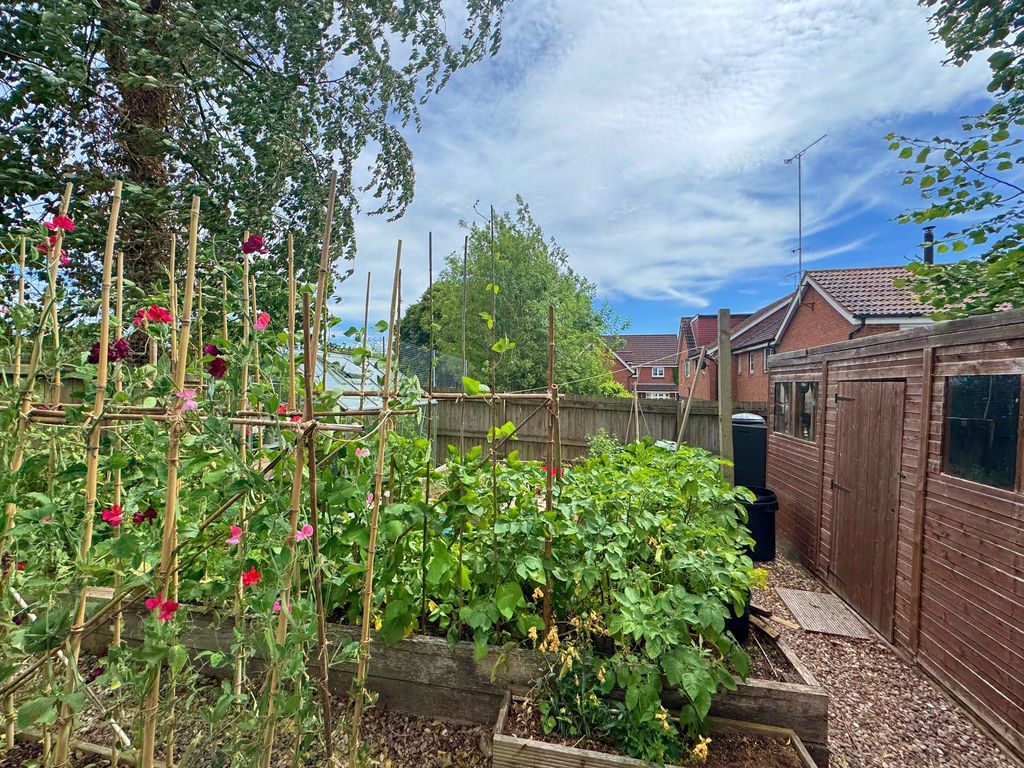 Property photo 3 of 13 Raised Beds And Shed