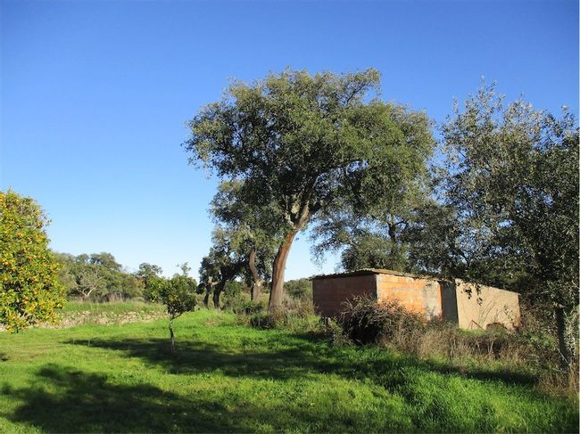 Property photo 1 of 37
