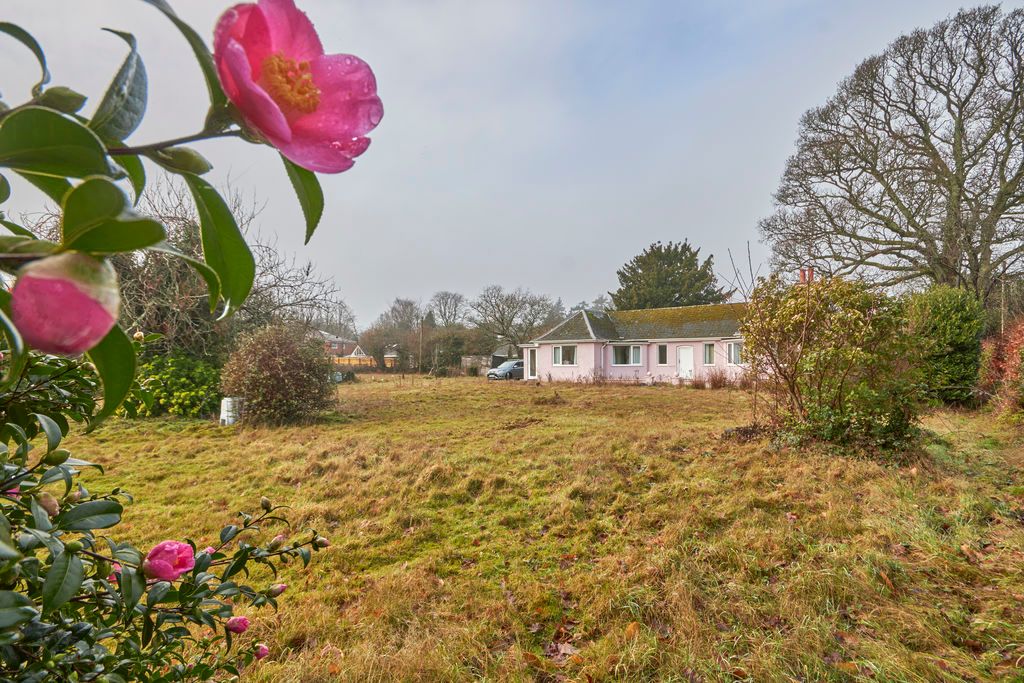 Additional image 15 of 3 bed detached bungalow for saleWest Hill Road, Ottery St. Mary EX11