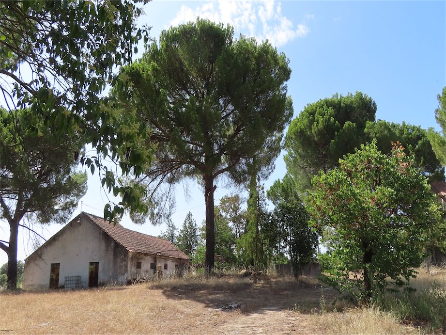 Property photo 1 of 49