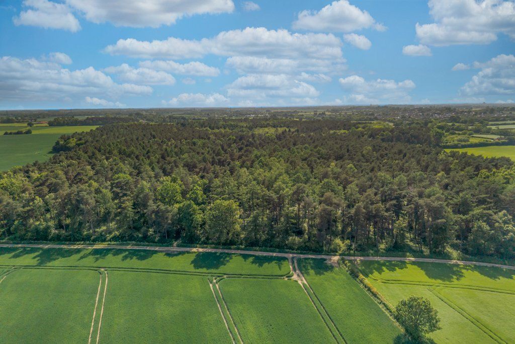 Additional image 6 of Land for saleGate Helmsley, York, North Yorkshire YO41