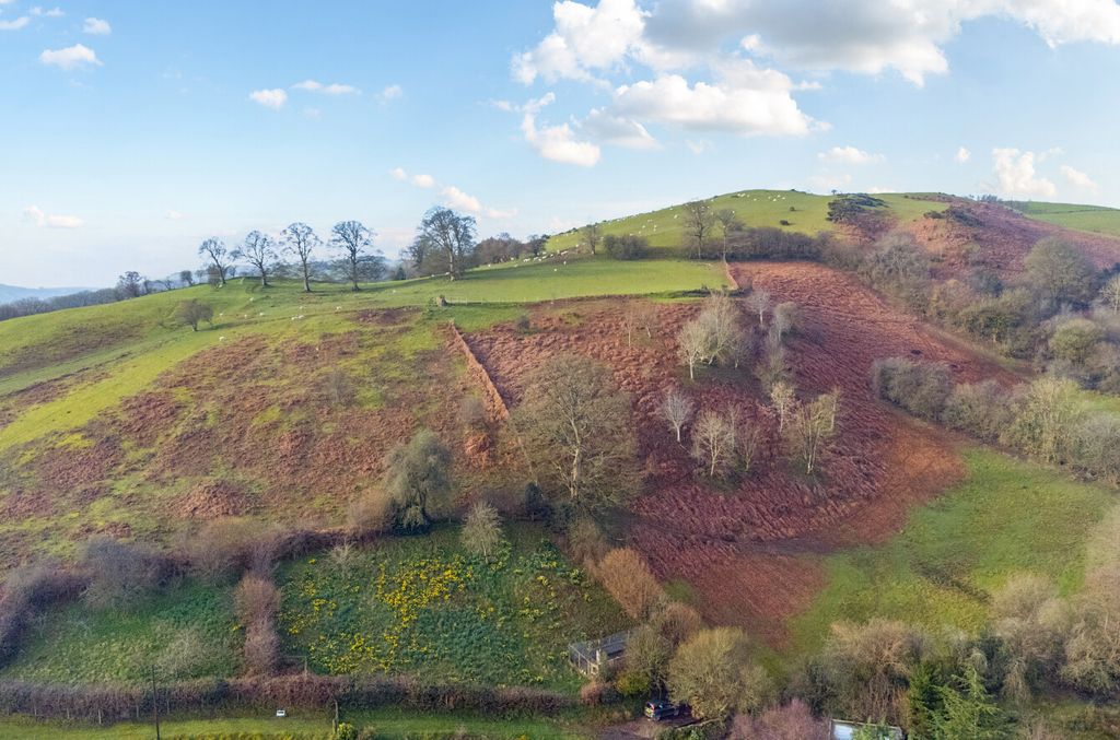 Additional image 50 of 3 bed cottage for salePenstrowed, Newtown, Powys SY16