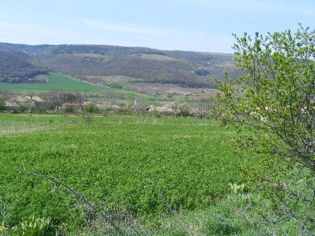 Property photo 3 of 39 A Green Field With A Single Tree On The Right And Forested Hills In The Background