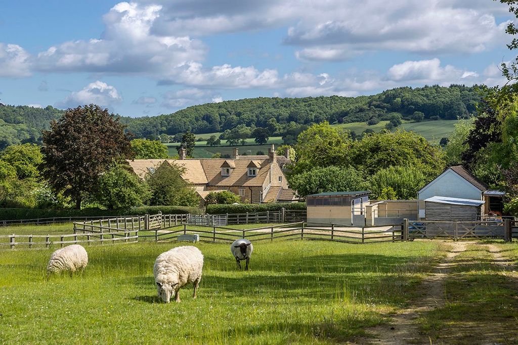 Property photo 2 of 19 Picture No. 35