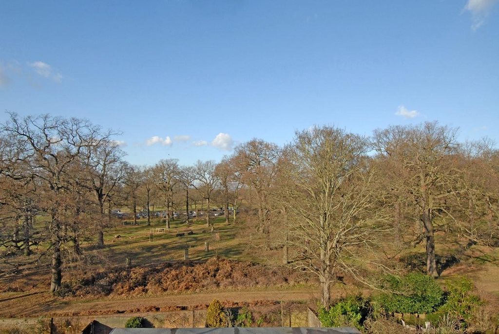 Property photo 2 of 11 Picture No. 07