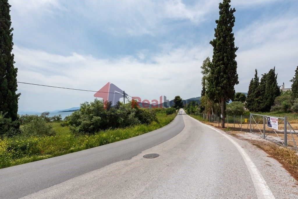 Property photo 3 of 25