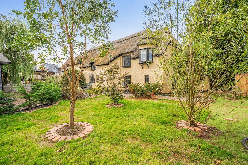 Property photo 1 of 22 Rear Garden