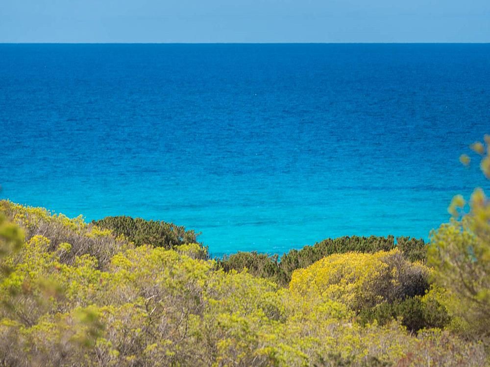 Property photo 1 of 50