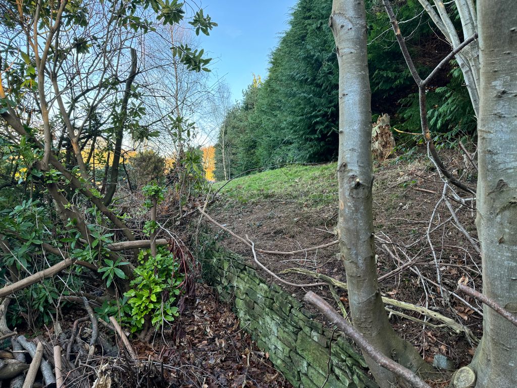 Property photo 3 of 22