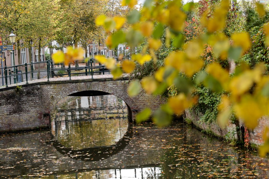 Property photo 2 of 43