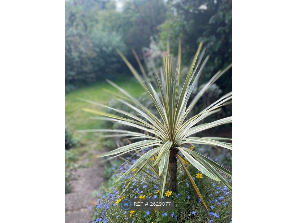Property photo 3 of 14 Garden