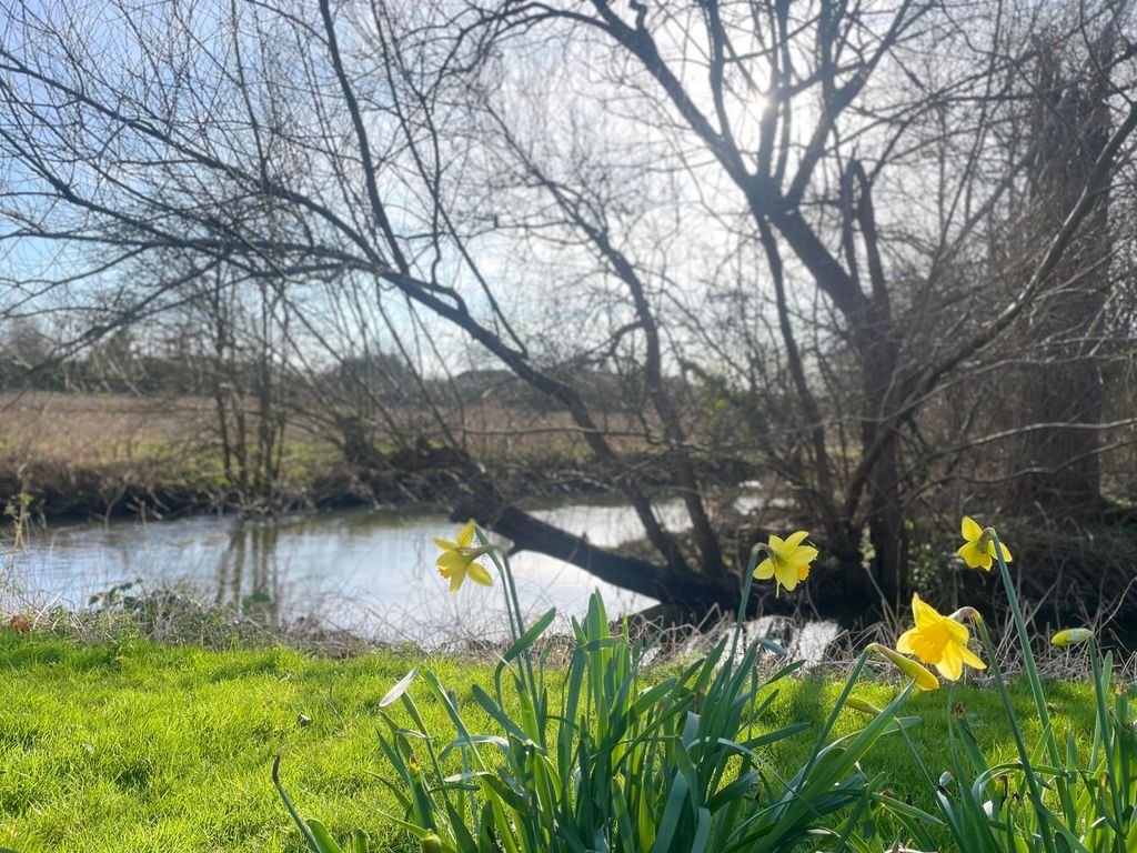 Property photo 2 of 13 Picture No. 14