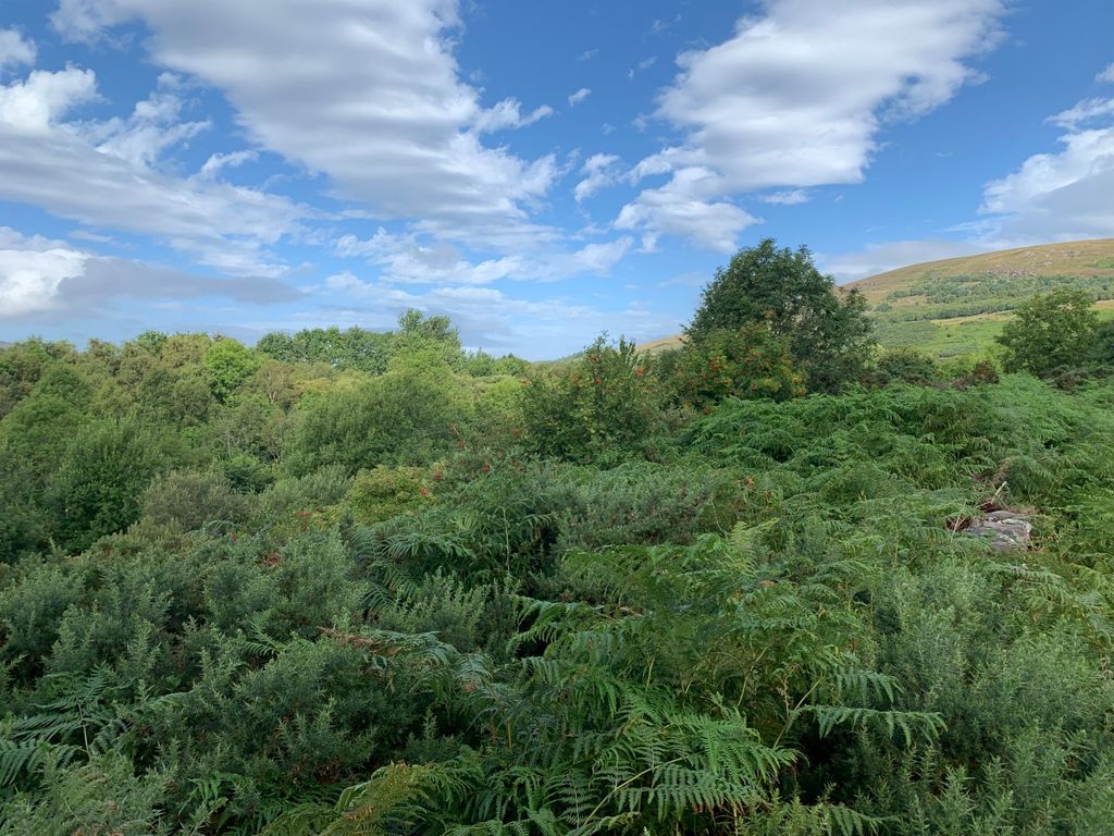 Property photo 2 of 9 Land At Moss Road