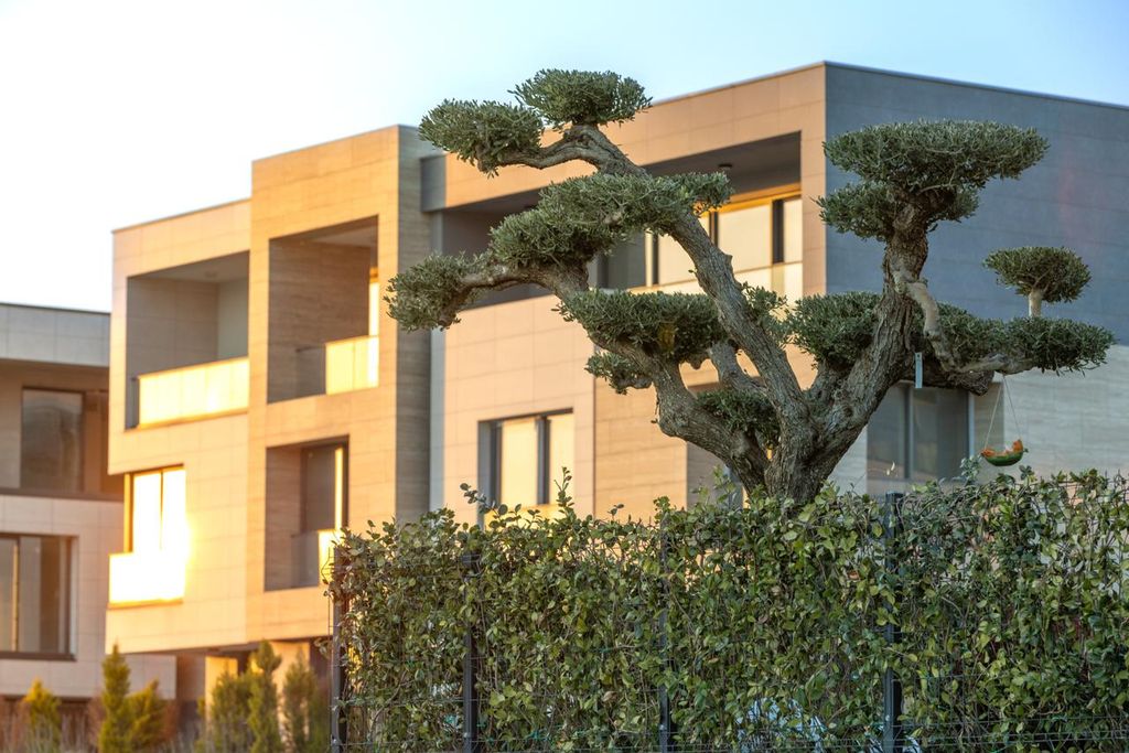 Property photo 2 of 53