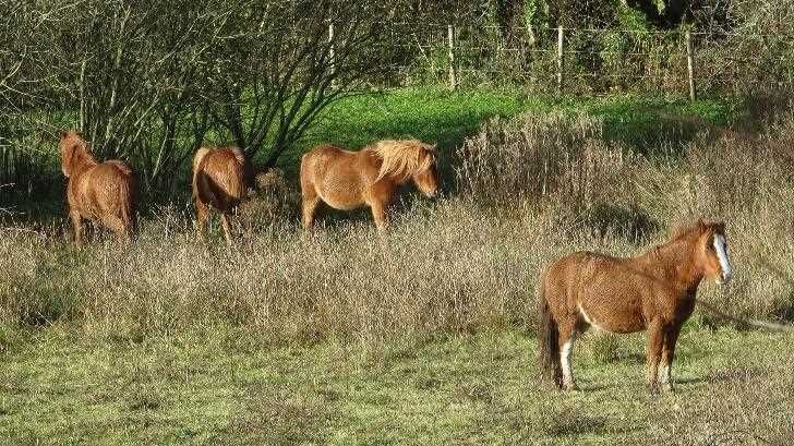 Property photo 3 of 33