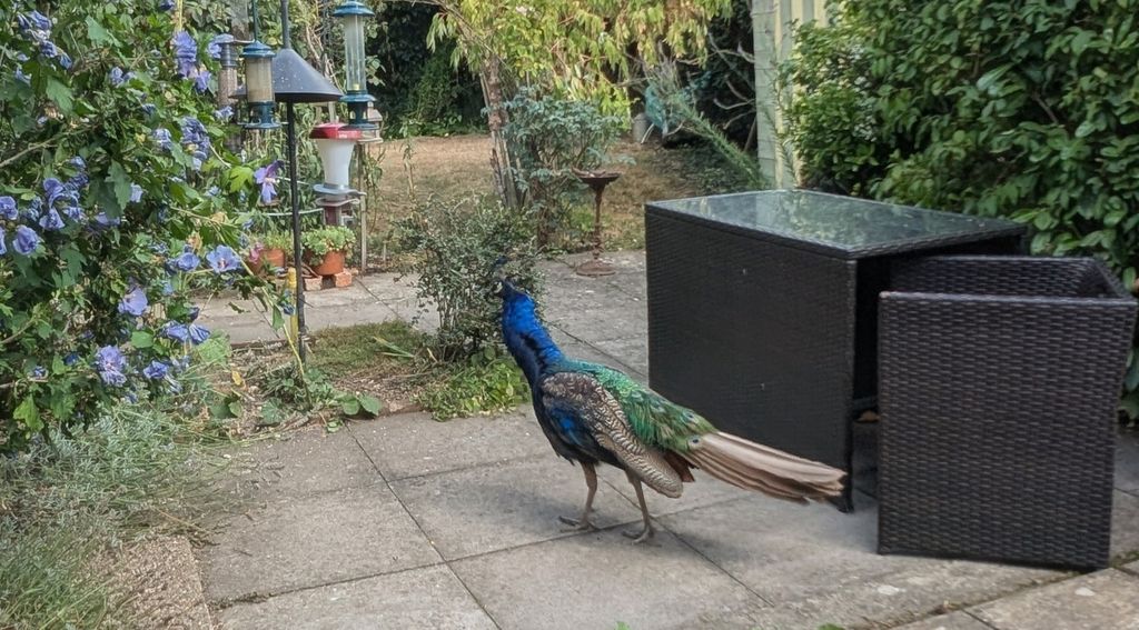 Property photo 3 of 11 Pxl_20250828_121207759.Mp2