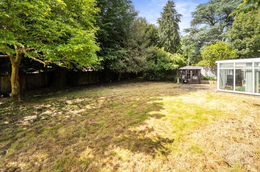 Additional image 16 of 3 bed bungalow for saleLove Lane, Petersfield, Hampshire GU31